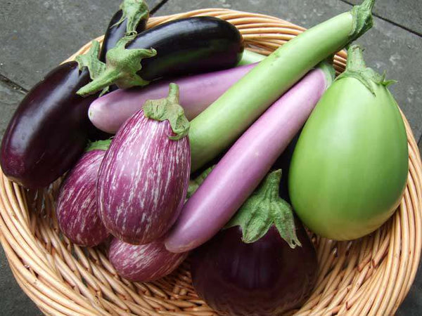 Best Vegetables to Grow in January in India