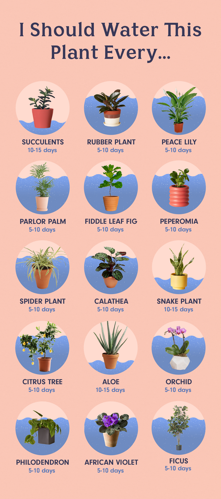 "When in doubt, feel the soil." This Is How Often You Need To Water Your Plants
