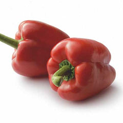 Bell peppers as a super food.
