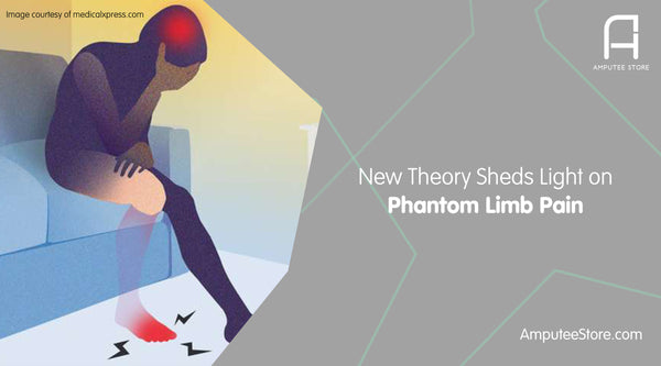 New theory sheds light on phantom limb pain