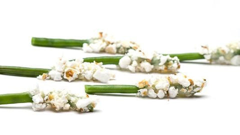 asparagus topped with popcorn