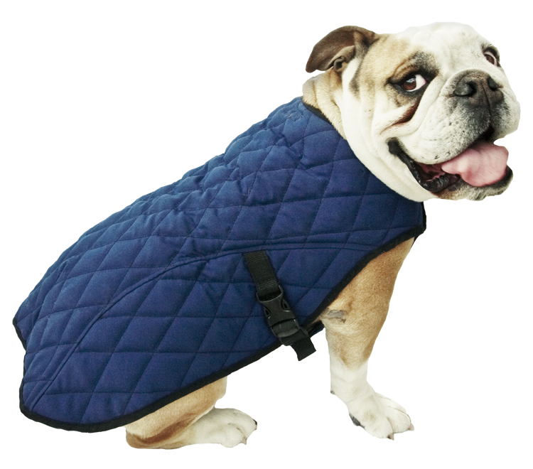 cooling jacket for dogs