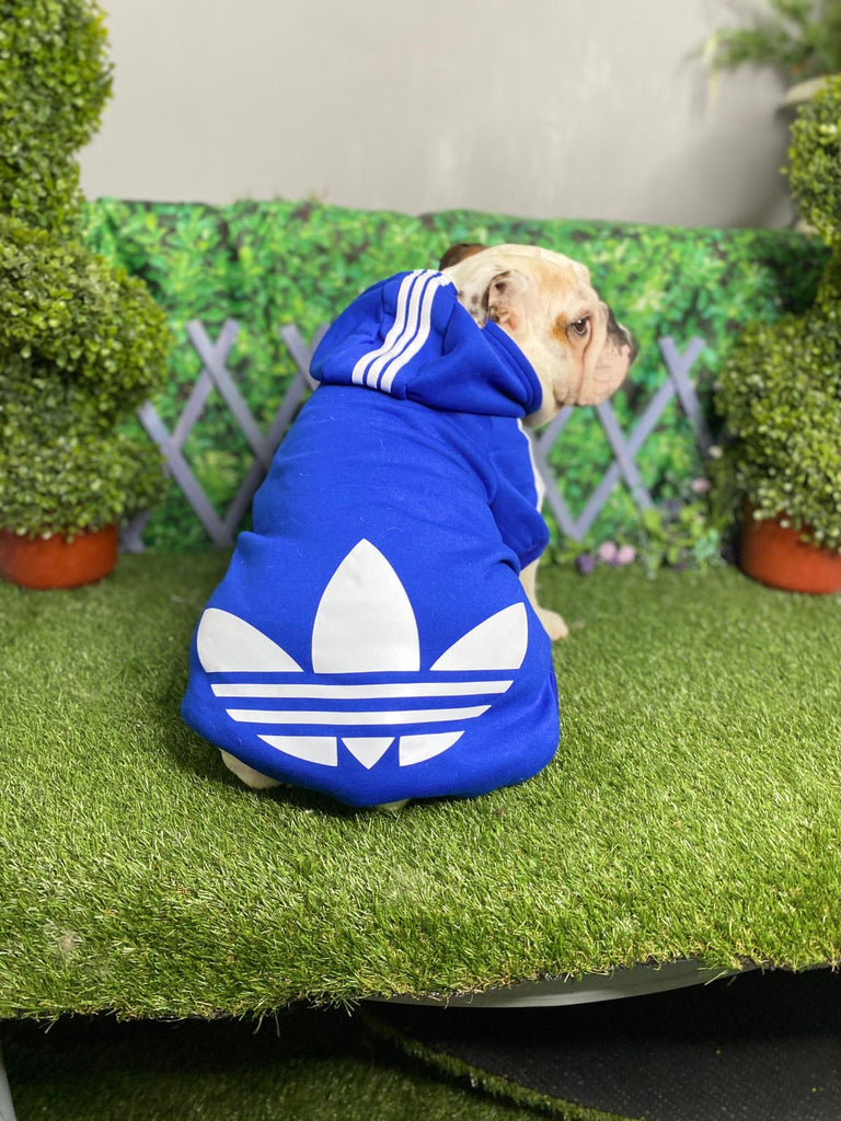 Adidas Dog Hoodie