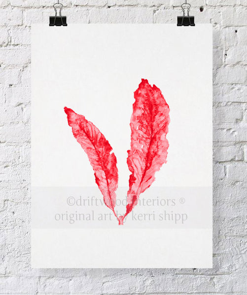 Red coral wall art print sea fan in ruby by kerri shipp driftwood interiors