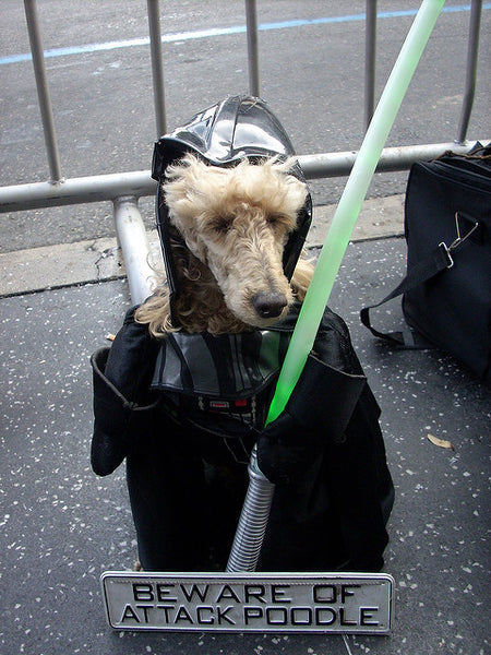 White fuzzy dog wearing a Darth Vader dog costume