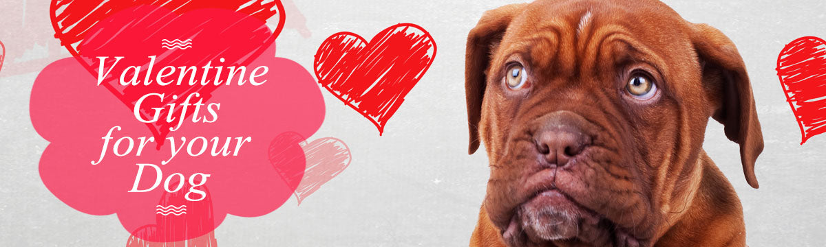Valentines Gift For Your Dog Header with hearts all around