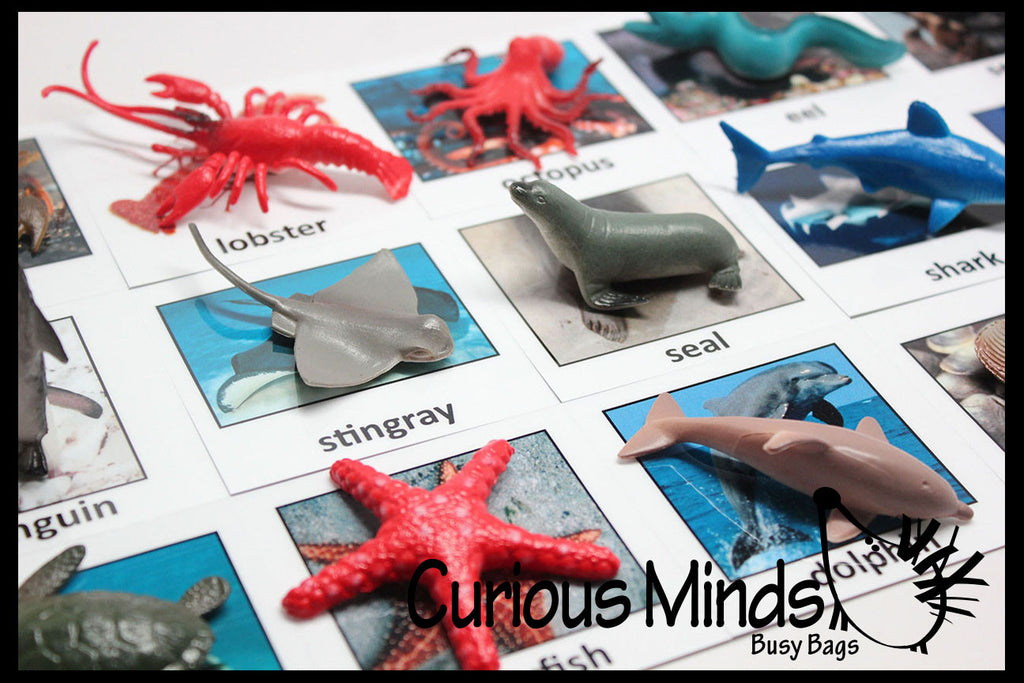 Beginner Pattern Matching Activities | Curious Minds Busy Bags