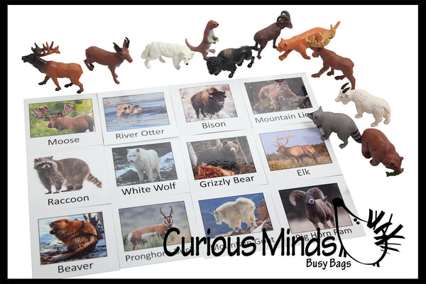 Animal Match - North American - Miniature Animals with Matching Cards |  Curious Minds Busy Bags