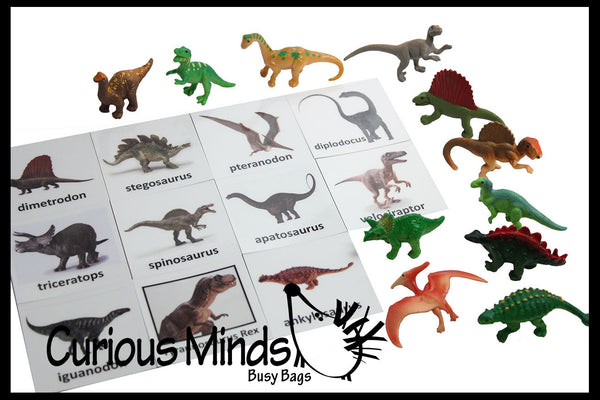 Montessori Dinosaurs 5 Part Cards with Miniatures 