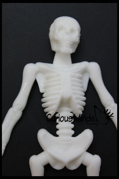 stretchy skeleton toy