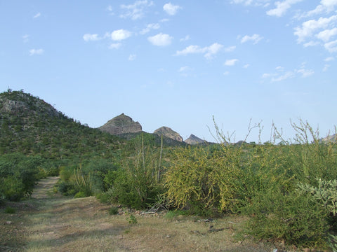 caminos-offroad-rural-sierra-la-giganta-baja-california-sur