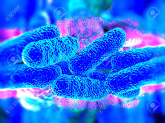 legionella-bacteria-enfermedad-agua-personas-salud