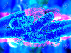 bacteria-agua-legionella