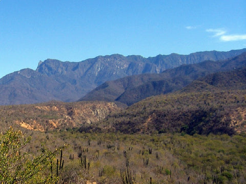 sierra la laguna bcs