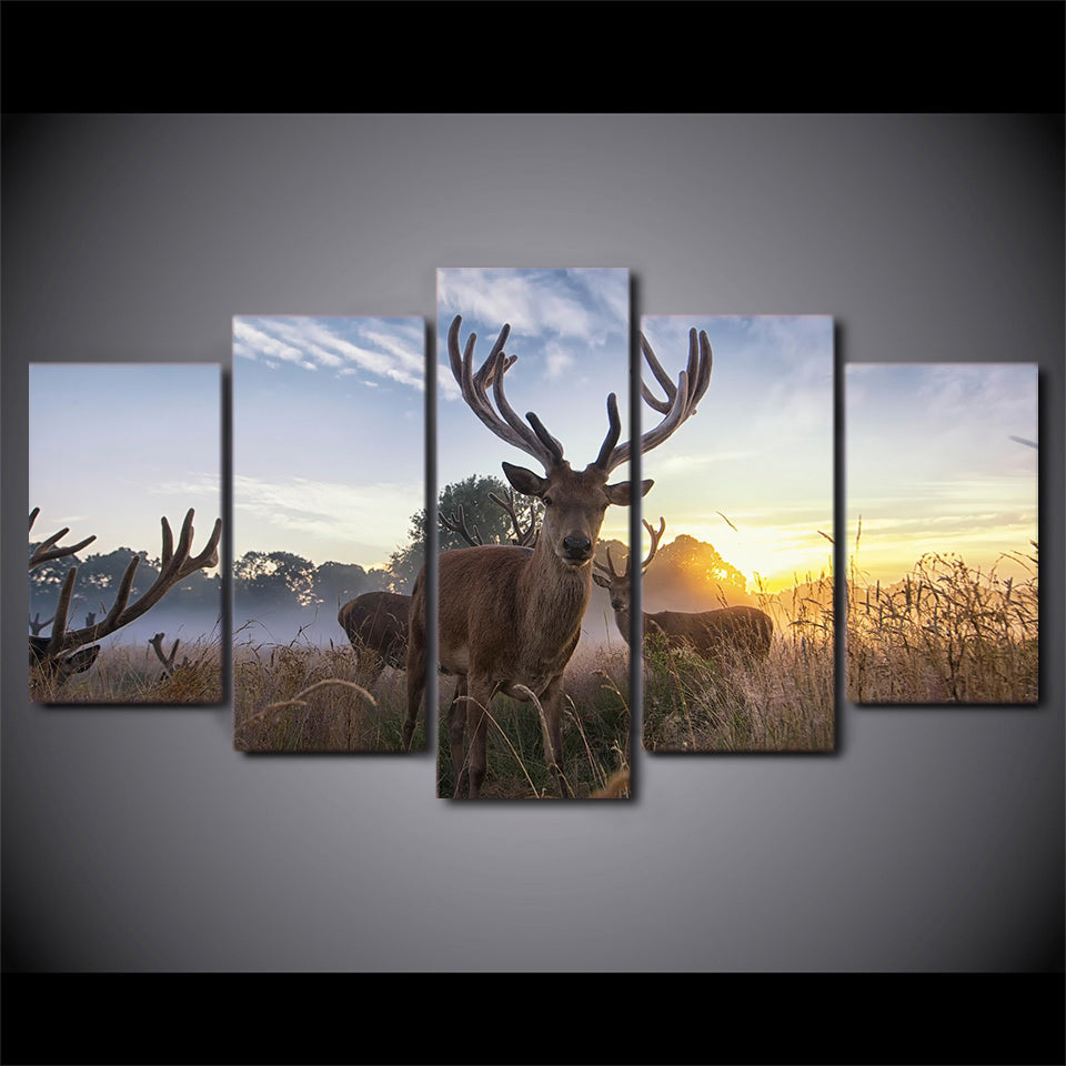 Creative Deer Canvas Collection