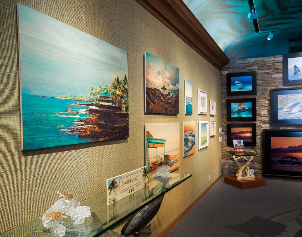 Wyland Gallery Laguna Beach - Local Artist Exhibition 