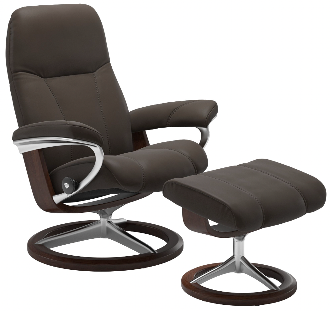 recliner chair for elderly