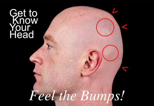 Get to know your head, feel the bumps!