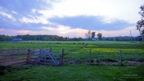 Visual Reiki photo - "Horse Farm Sunset"