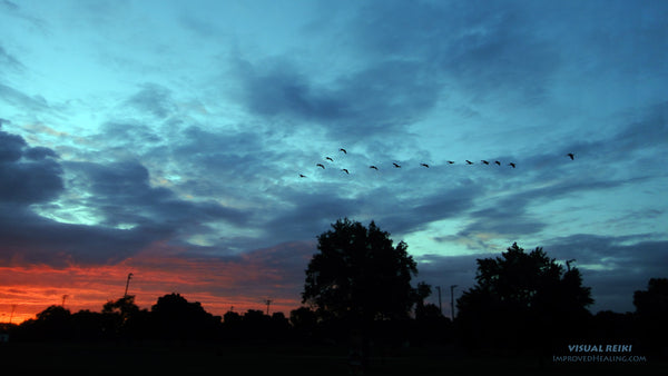 Visual Reiki photo - "Sunset-Flying-Geese"