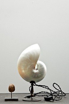 Object - Nautilus Shell Lamp