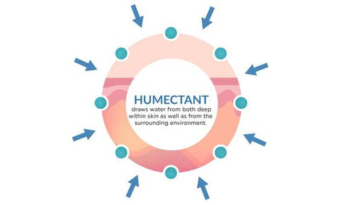 humectant and how it helps skin to draw moisture