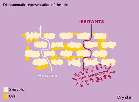emollients and dry skin structure