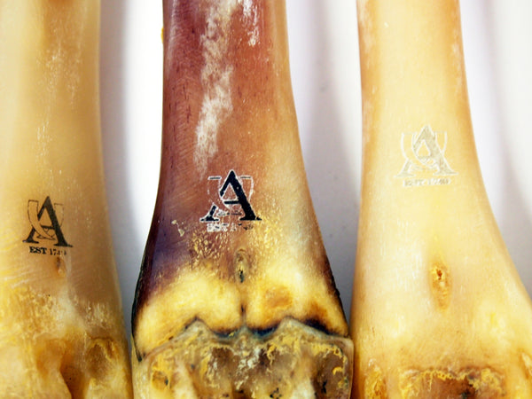 shell cordovan deer bone