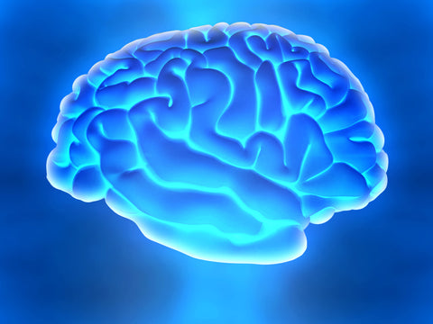 Blue Light Brain