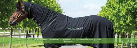 Sportz-Vibe Massage Therapy for Horses | HorseFit NZ 