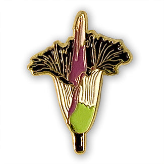 Amorphophallus titanum or Corpse Flower as an enamel pin designed by B. Berish