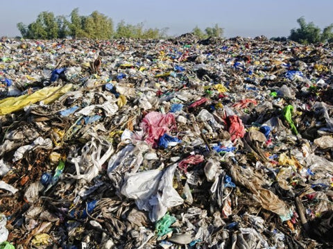 Landfill // Photo from Shutterstock