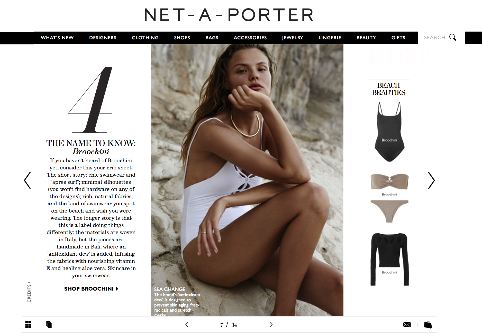 Netaporter - Broochini 