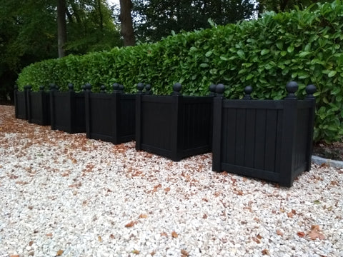 Black wooden planters