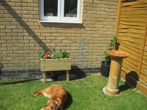 Raised Wooden Planters