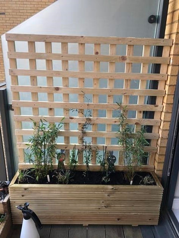 Wooden planter with trellis