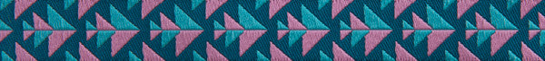 Pink & Teal Positive Direction 5/8" by Amy Butler