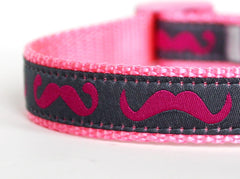 Wholesale Dog Collars Ribbons