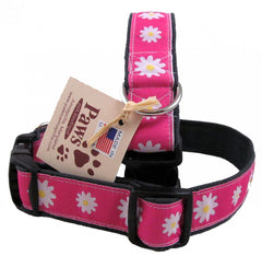 Wholesale Dog Collars Ribbons