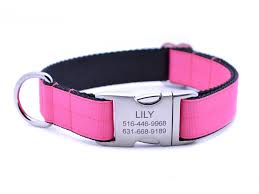 Pink Dog Collar Ribbon