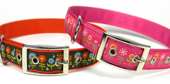 Wholesale Dog Collars Ribbons