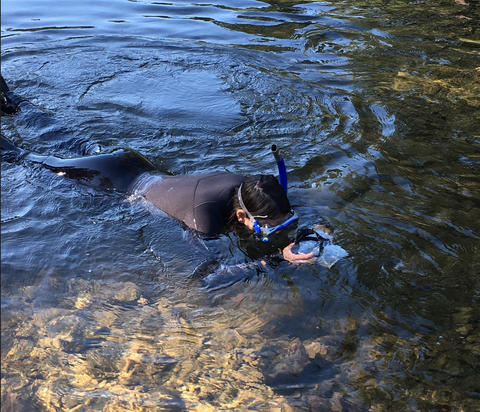 Non-profit uses Outex underwater housings to study bull-trout conservation in Montana