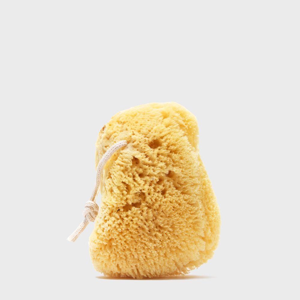 Public Goods Personal Care Sea Sponge