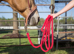 Ravenox Cuerda de algodón trenzado Correas para caballos Halters Líneas de estocada