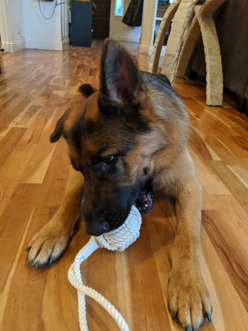 Ravenox hecho a mano 100 algodón Natural cuerda trenzada perro juguete perros juguetes bola masticar cachorro dentición grandes pequeños masticadores agresivos