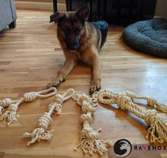 Ravenox Juguetes para perros con cuerda de algodón trenzado | Cuerdas naturales para productos para mascotas