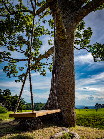 Ravenox Wooden Double Rope Swing Hanging from Tree