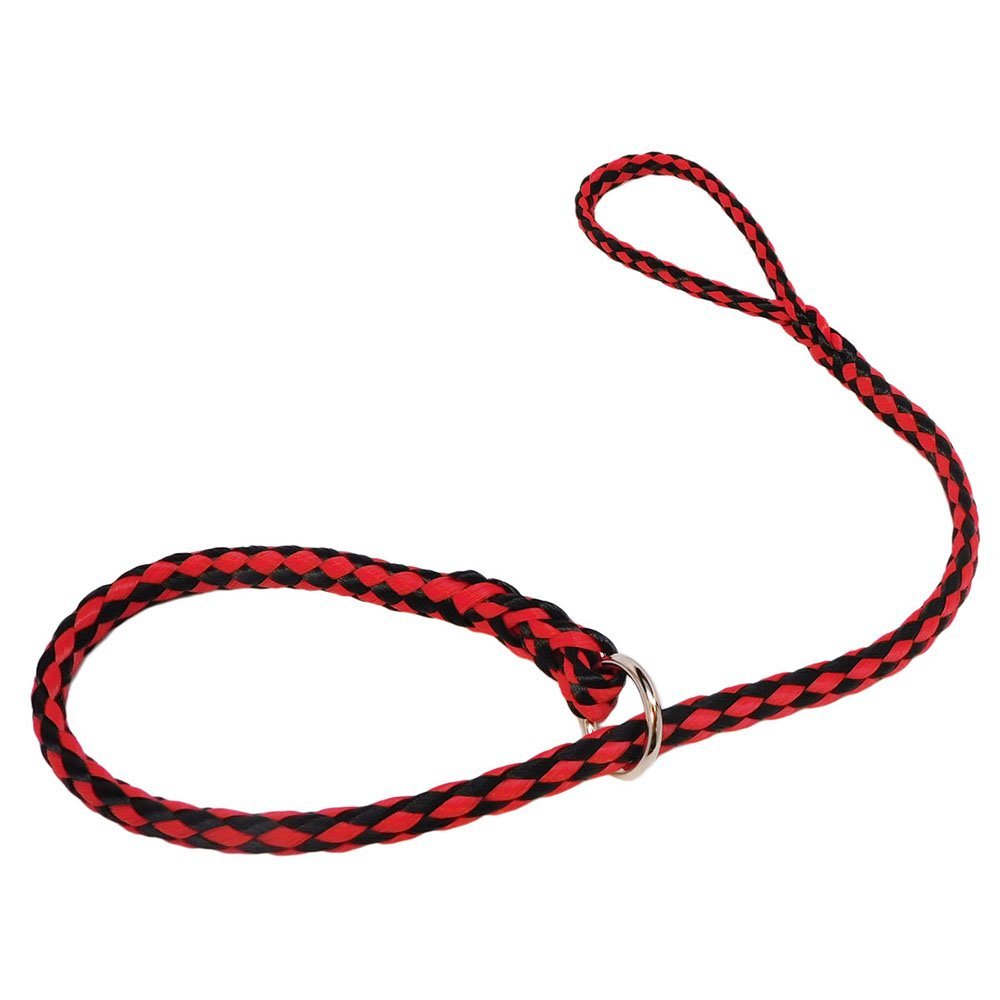 dog slip collar leash