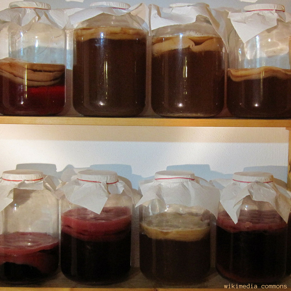 How to Make Kombucha - Kombucha Brew Safe Storage in Pantry