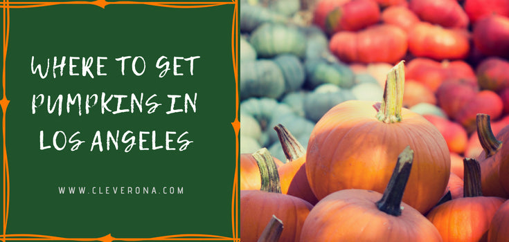 Where to Get Pumpkins in Los Angeles